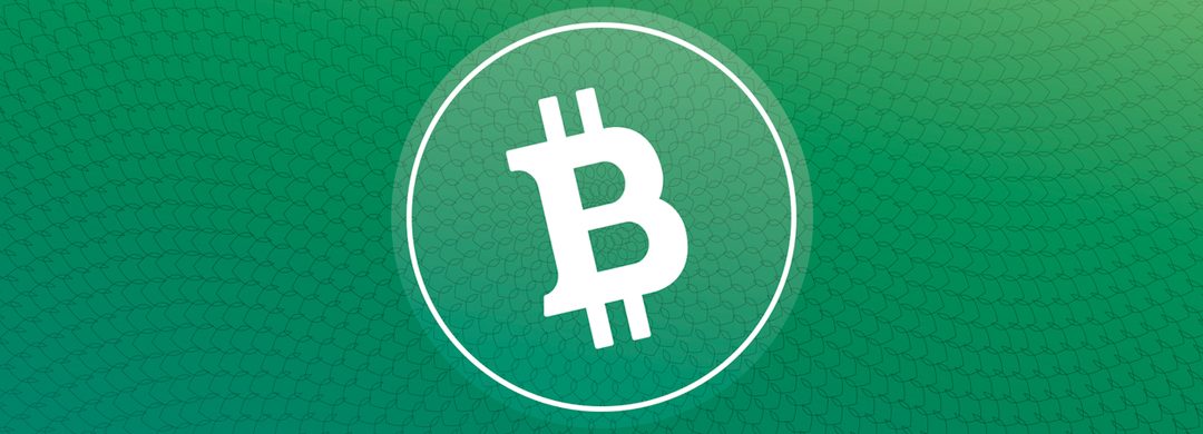 O Bitcoin Cash é uma das principais criptomoedas do mercado