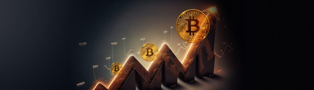 Armazenar Bitcoin
